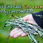 Don't find fault Henry Ford Quote with image