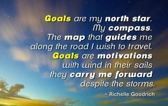 Goals are my north star