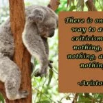 There is only one way to avoid criticism: Do nothing, say nothing, and be nothing.