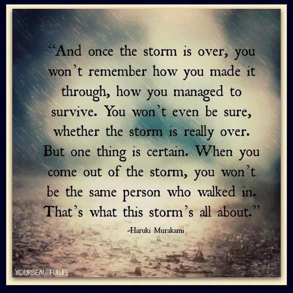 Once the storm is over..