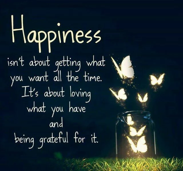 Happiness isn’t about getting what..