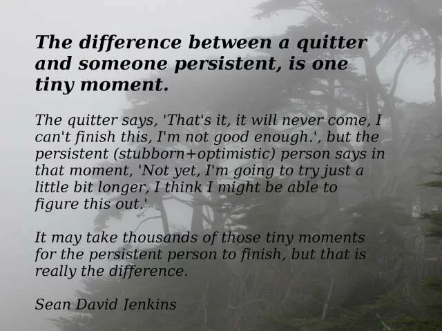 Difference between a quitter and persistent