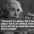Everybody is a genius.