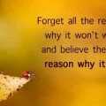 “Forget all the reasons why it won't work