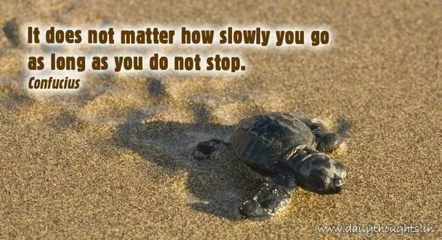 Doest not matter how slowly quote