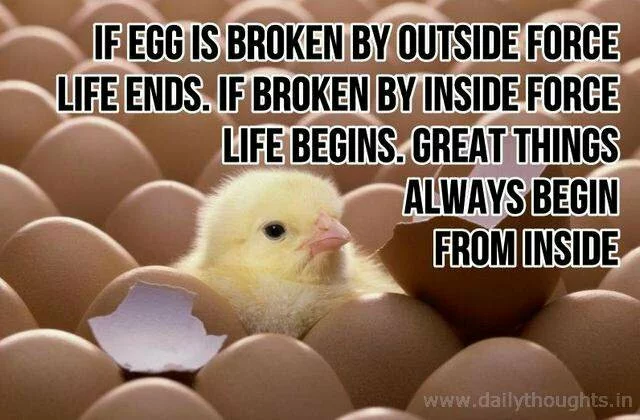 If egg is broken by outside force...
