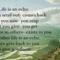 Life is an echo quote
