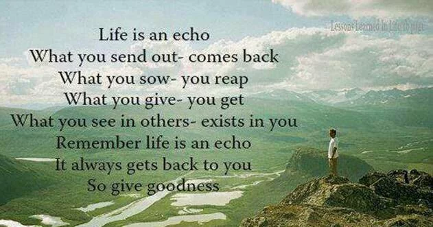 Life is an echo quote
