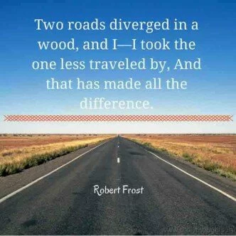 Two-roads-diverged-in-road