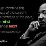 We must combine the toughness of the serpent Martin Luther King quote