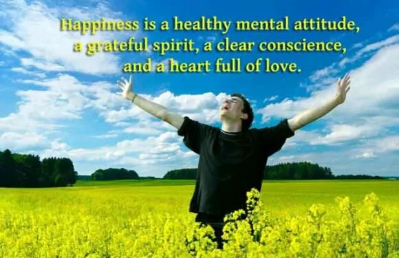 Happiness is a healthy mental attitude