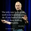 The only way to do great work is to love what you do steve jobs quote with image