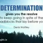 Denis Waitley Quote about Determination