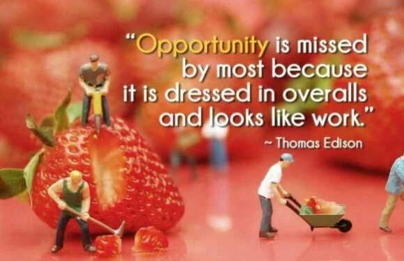Opportunity is missed by most people because it is…