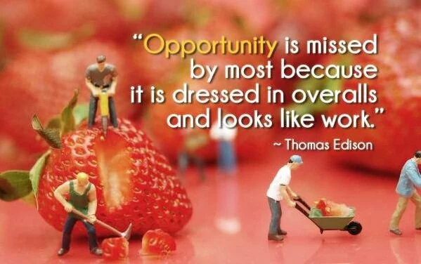 Opportunity is missed by most Thomas A. Edison quote image