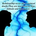 Relationship never dies quote image