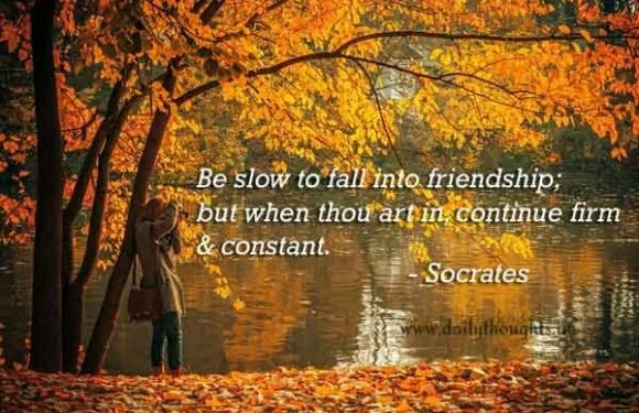 Be slow to fall into friendship