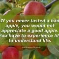 If you never tasted a bad apple picture quote